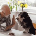 ejercicios perro adulto apartamento