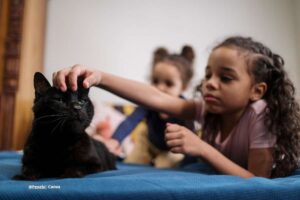 responsabilidad de los hijos con las mascotas