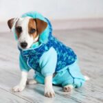 ropa para perro
