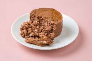 comida húmeda para gatos