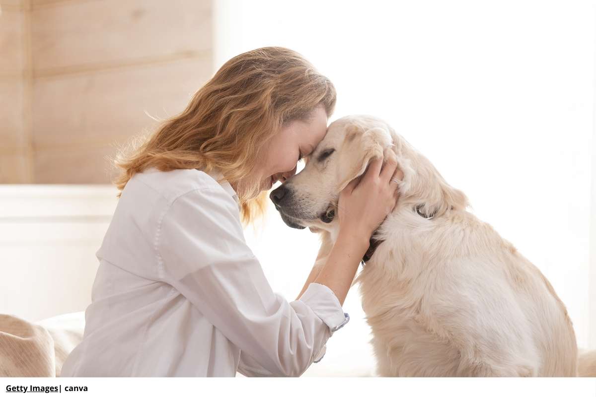 Acariciar a su mascota: beneficios y recomendaciones para un vínculo sólido