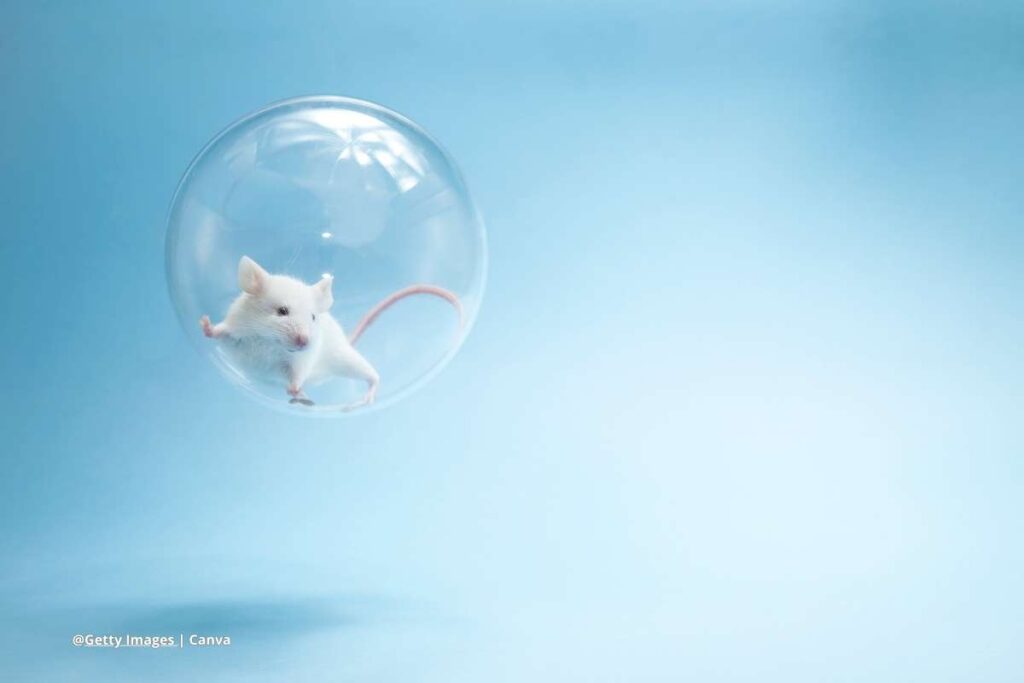 Ratón espacial