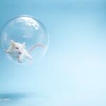 Ratón espacial