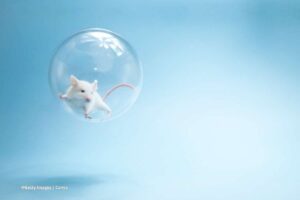 Ratón espacial