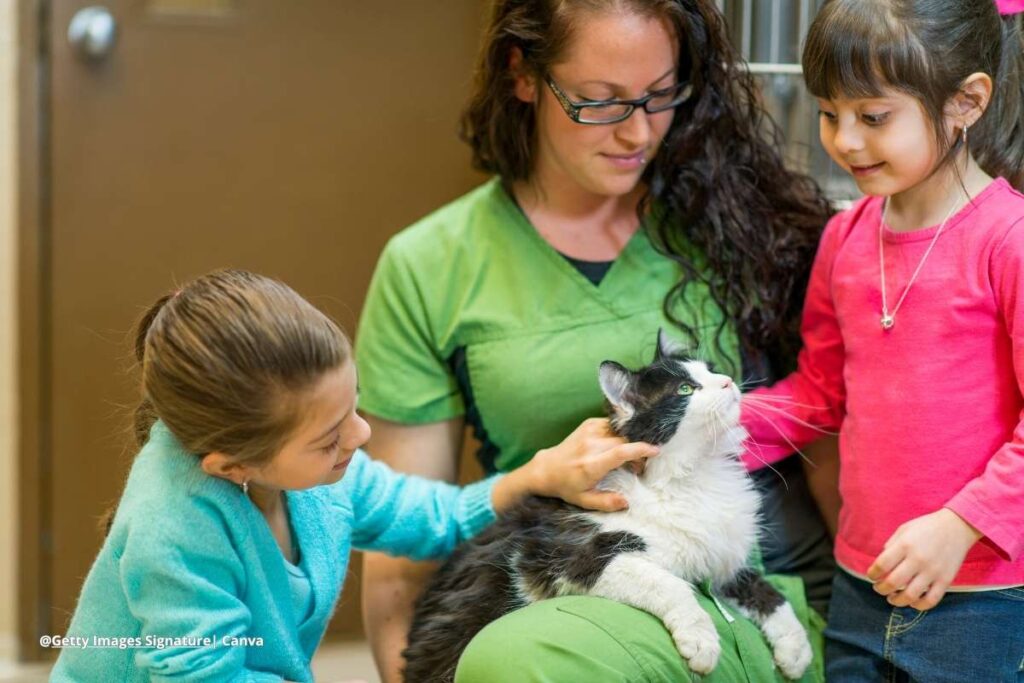 beneficios adopción perro