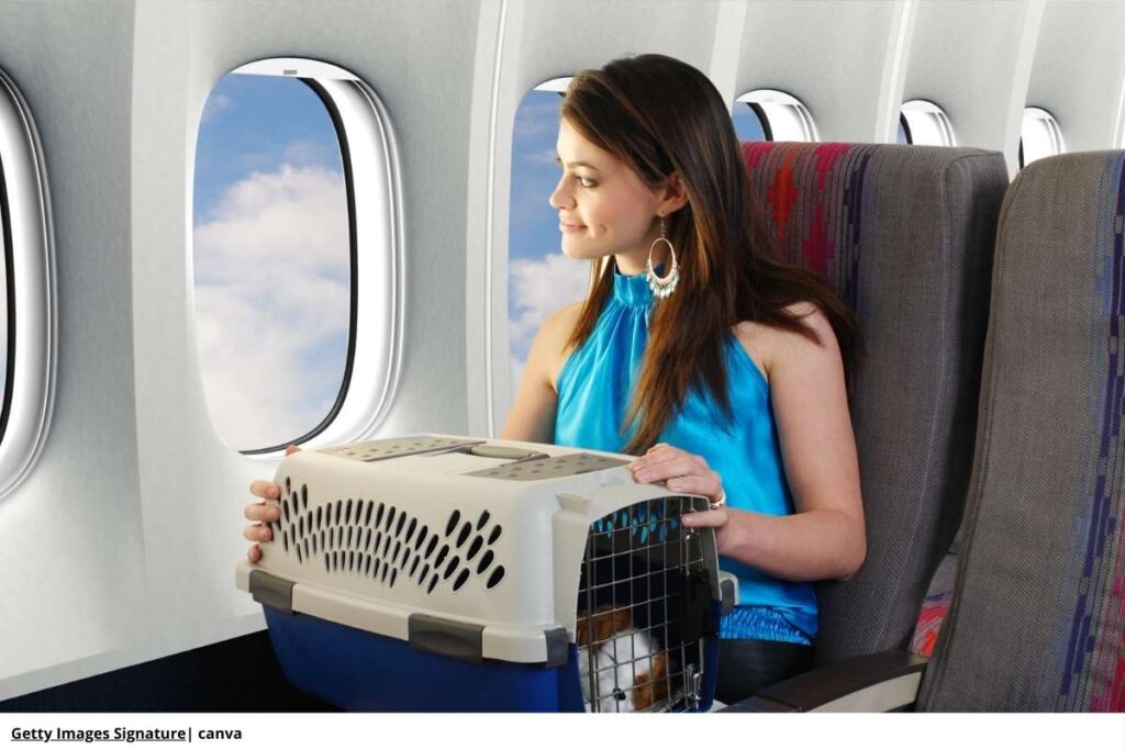 requisitos-para-viajar-con-perros-en-colombia