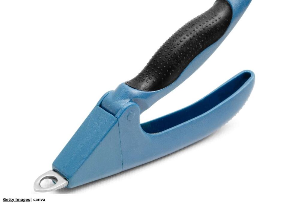 Imagen de un cortaúñas limpio