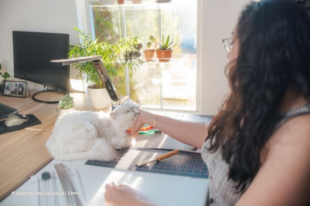 beneficios de tener un perro
