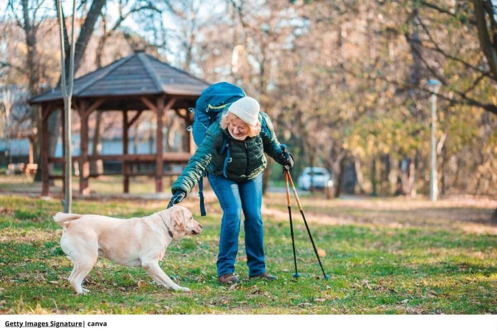 hombre paseando con perro adulto