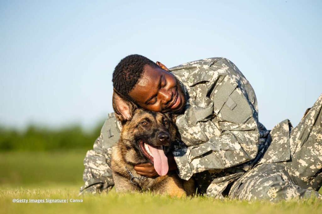 perros héroes de guerra