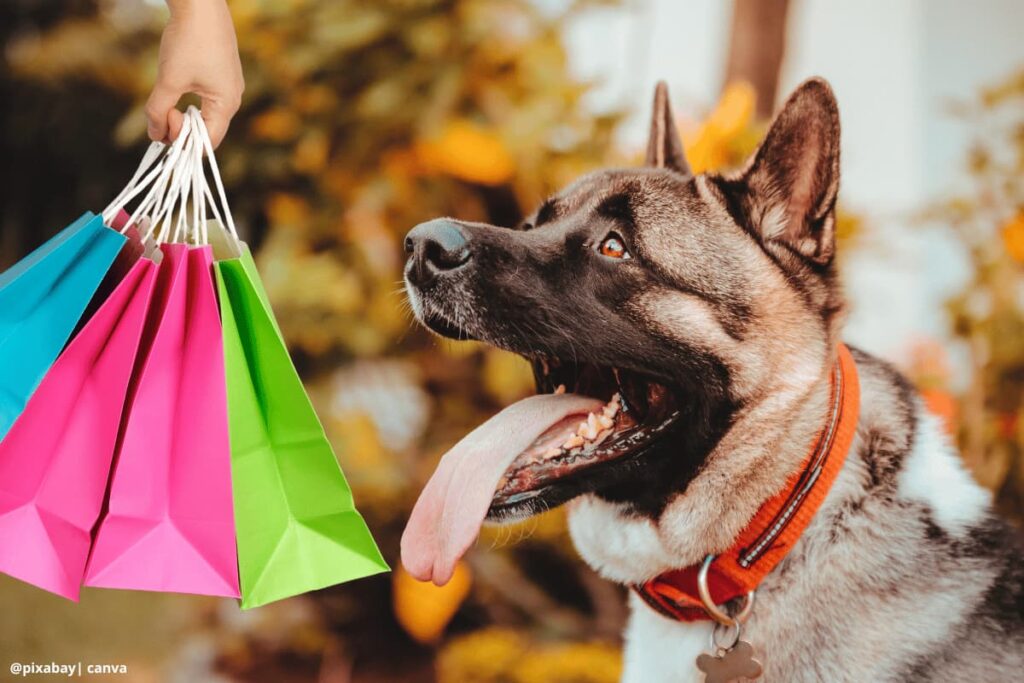 dueño sosteniendo una bolsa de compra para perro