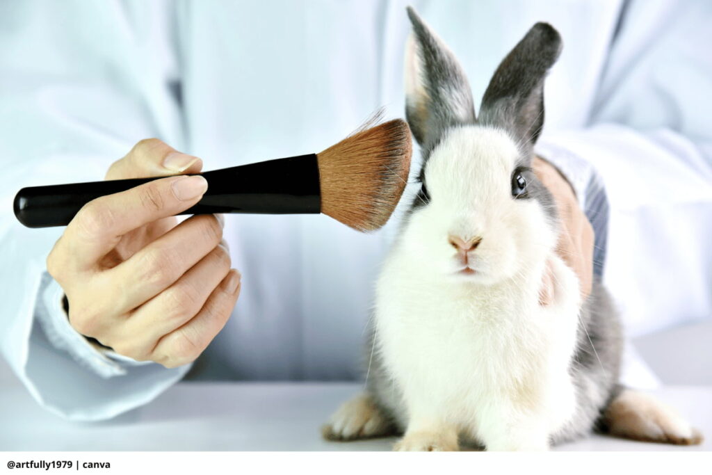 Imagen de un conejo siendo cepillado