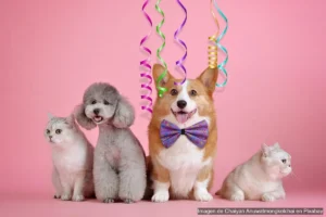 Cómo cuidar el pelo de tu perro o gato (según su tipo de pelaje)