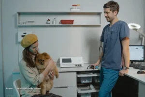 Coccidiosis en perros: causas, síntomas y tratamiento efectivo coccidiosis en perros