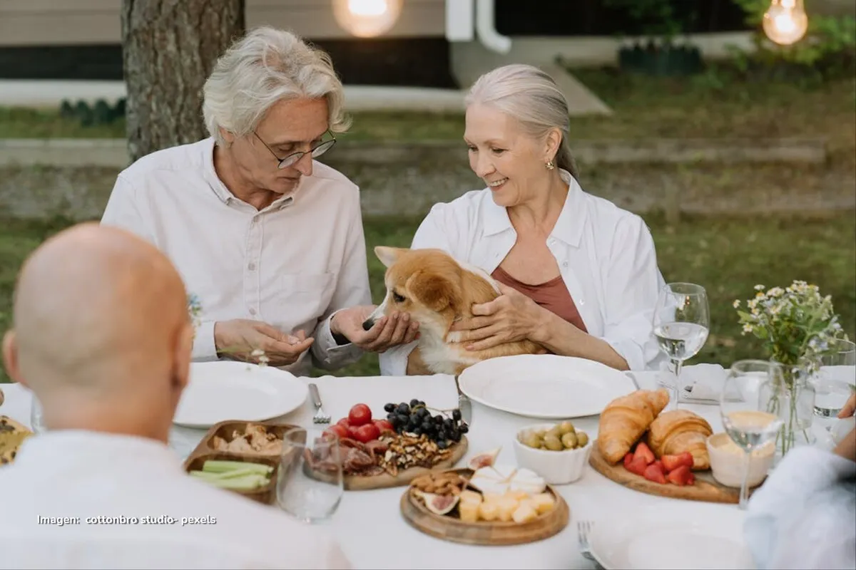 Restaurantes pet friendly en Bogotá 2025: los lugares ideales para ir con tu mascota restaurantes pet friendly en Bogotá