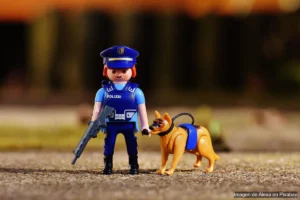 Modificación de conducta canina: estrategias efectivas sin castigo modificación de conducta canina