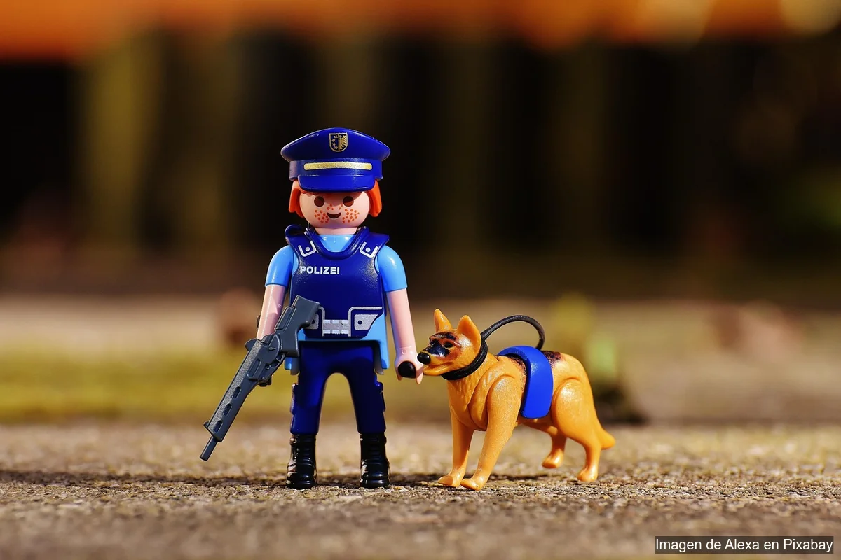 Modificación de conducta canina: estrategias efectivas sin castigo modificación de conducta canina