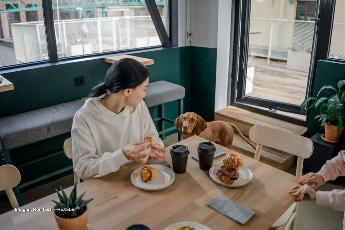 restaurantes pet friendly en Bogotá restaurantes pet friendly en Bogotá