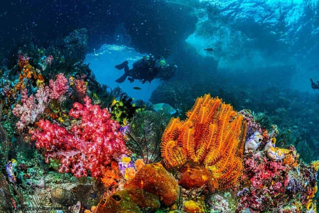 arrecifes de coral en Colombia