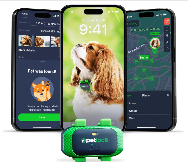 PETLOC8 GPS Pet Tracker - rastreador para mascotas 4G