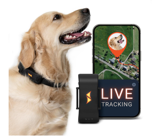 GPS Dog Collar Reflectivo Premium - collar rastreador todo en uno para perros
