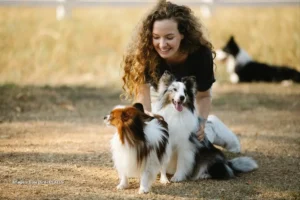 Ley 2480 en Colombia: qué cambia para paseadores de perros y guarderías en 2025