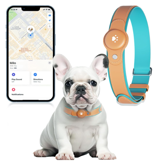 Tractive GPS Dog Cat - rastreador para perros y gatos con cobertura internacional
