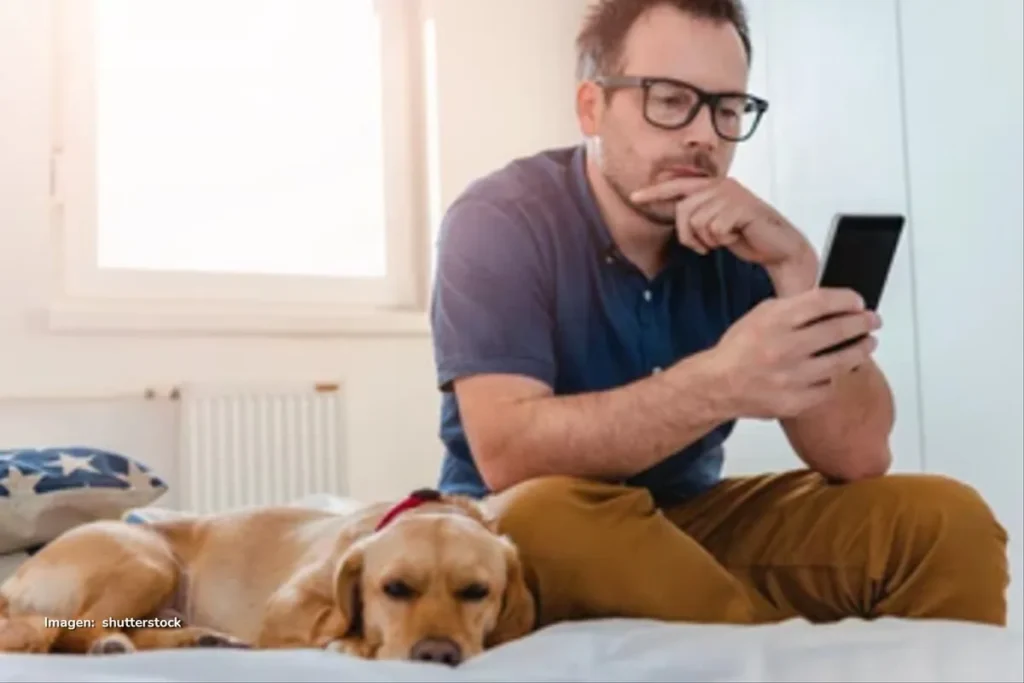 smart collar para perros