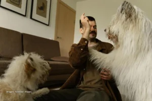 Veterinario revisa la boca de un perro en una clínica mientras utiliza guantes y equipo médico. mercado de mascotas en Colombia