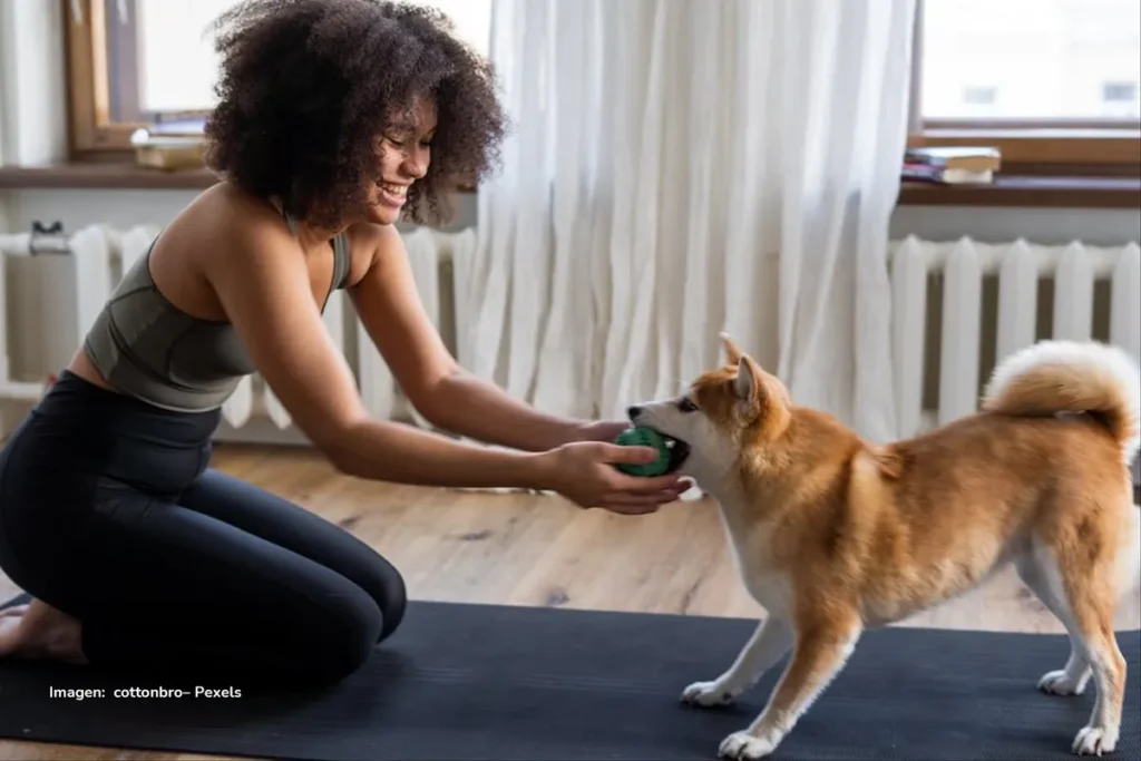 Mujer sonriente sostiene un juguete mientras su perro tira del otro extremo en una habitación luminosa sobre un tapete de ejercicio.