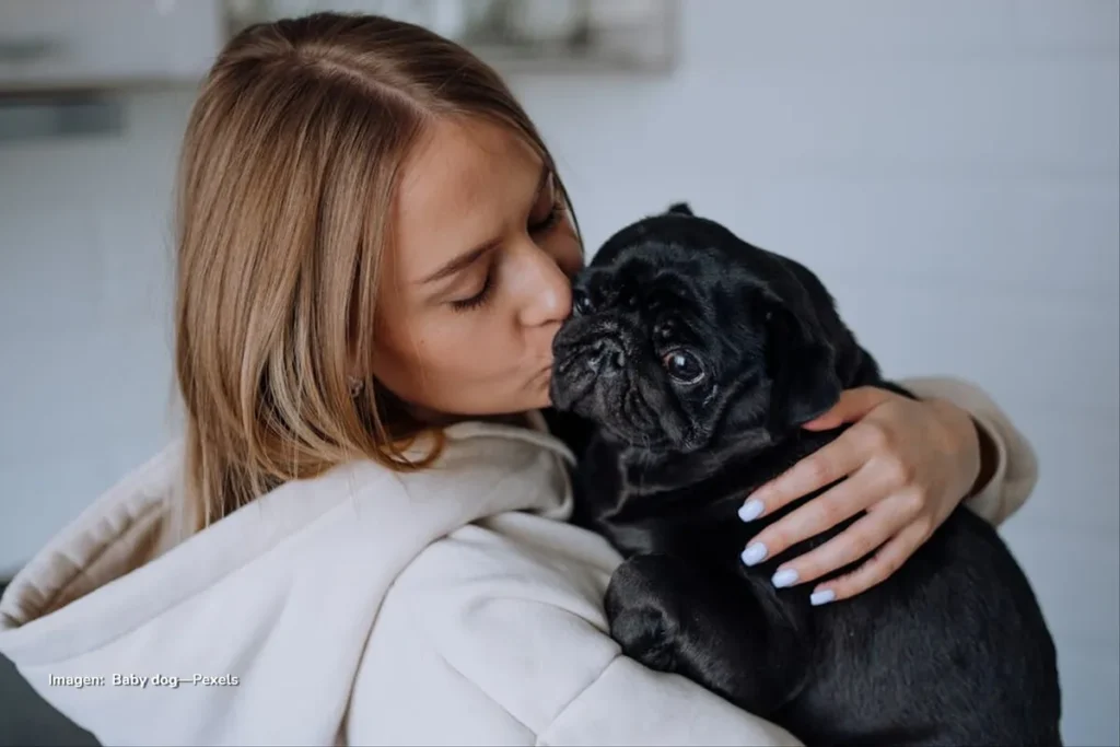 mascotas protegidas por ley en Colombia