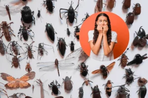 extinción de los insectos