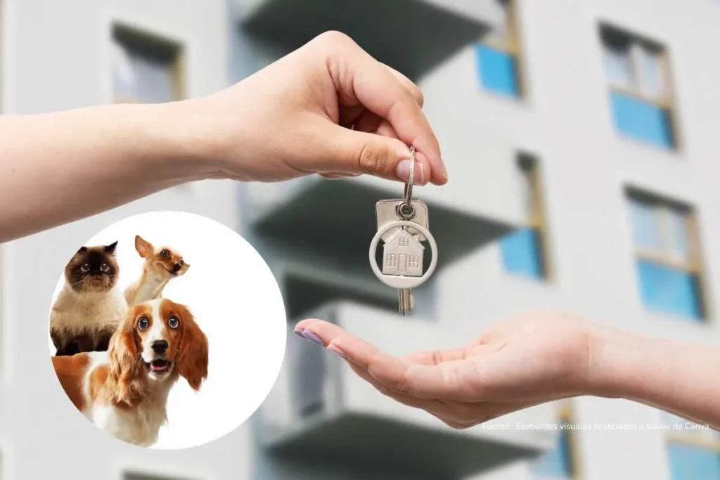 alquilar con mascota