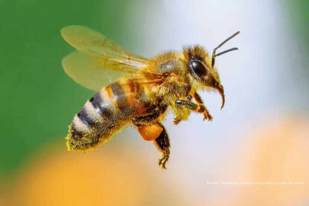 Abeja en pleno vuelo capturada sobre un fondo verde de naturaleza, simbolizando la importancia de los polinizadores en los ecosistemas.