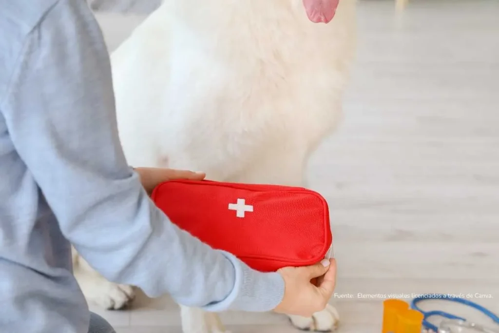 Adulto con botiquín de primeros auxilios y un perro de fondo