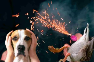 Impacto de la pólvora en la fauna