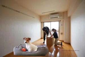 contratos de arriendo y mascotas