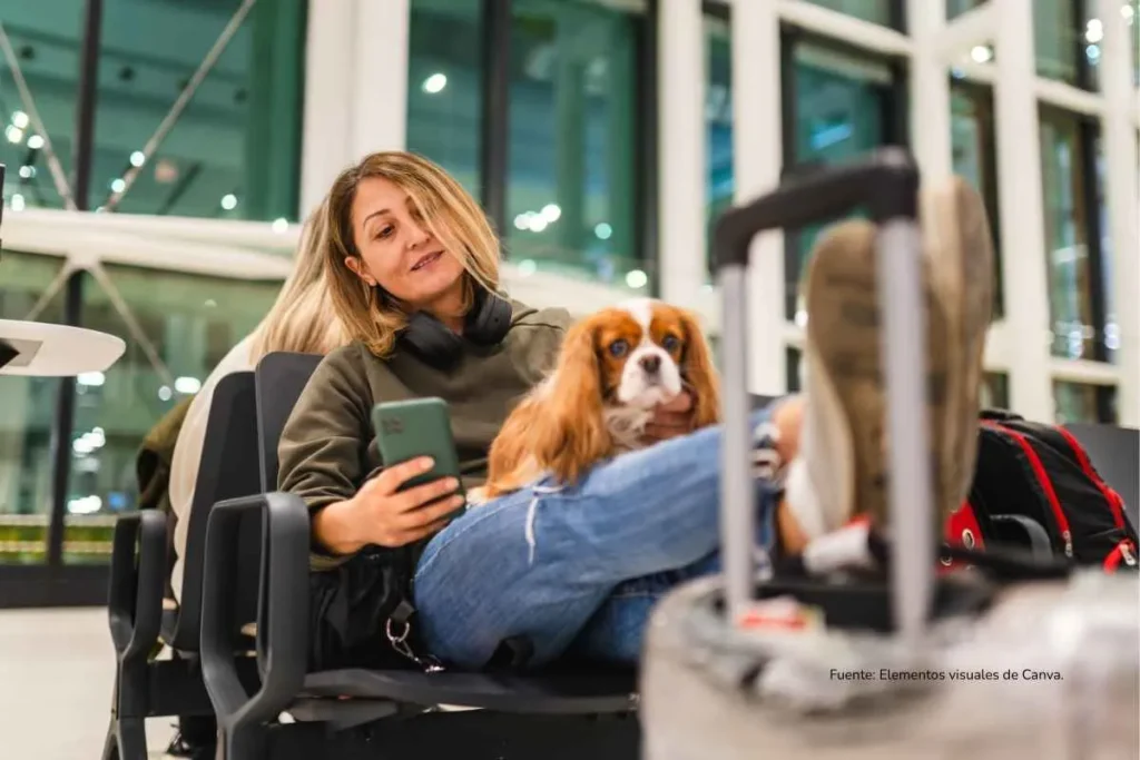 Mujer en la sala de espera de un aeropuerto con un celular en la mano y un perro en las piernas