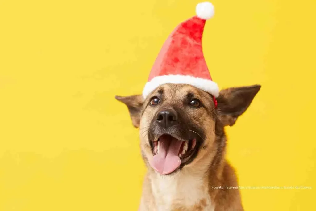 perro con la lengua afuera y un gorro de navidad