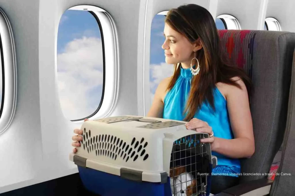 Mujer sentada en un avión, con una trasportín para perro pequeño 