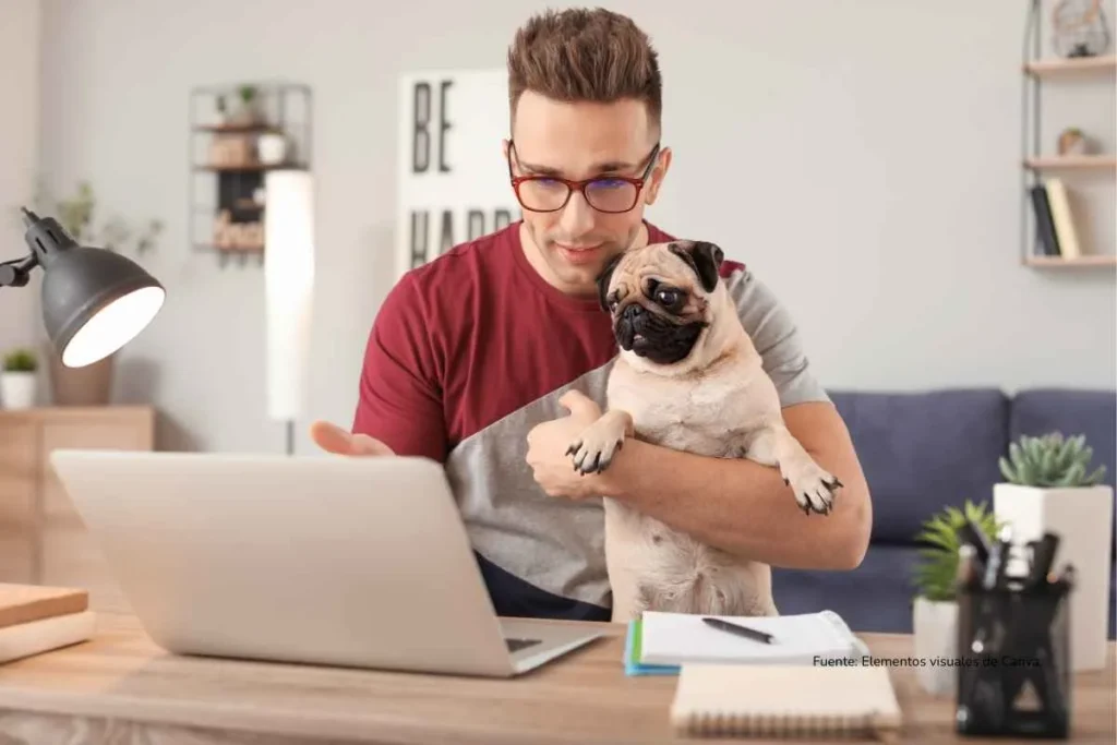 persona con un perro de cara achatada en brazos mirando un computador