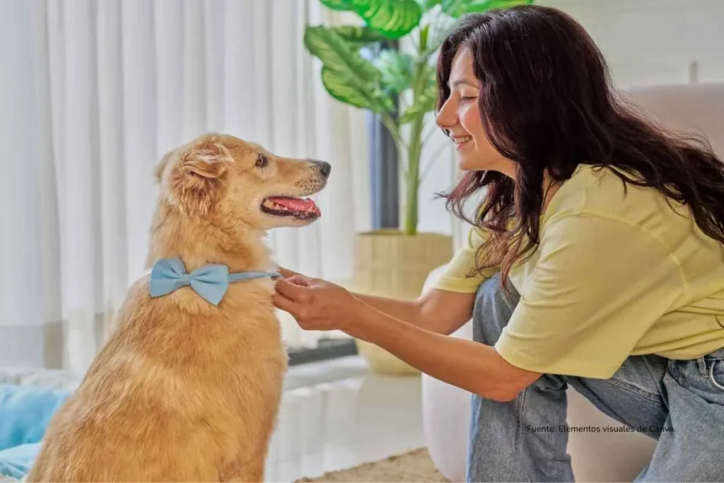 Mujer poniéndole un moño en el cuello a un perro