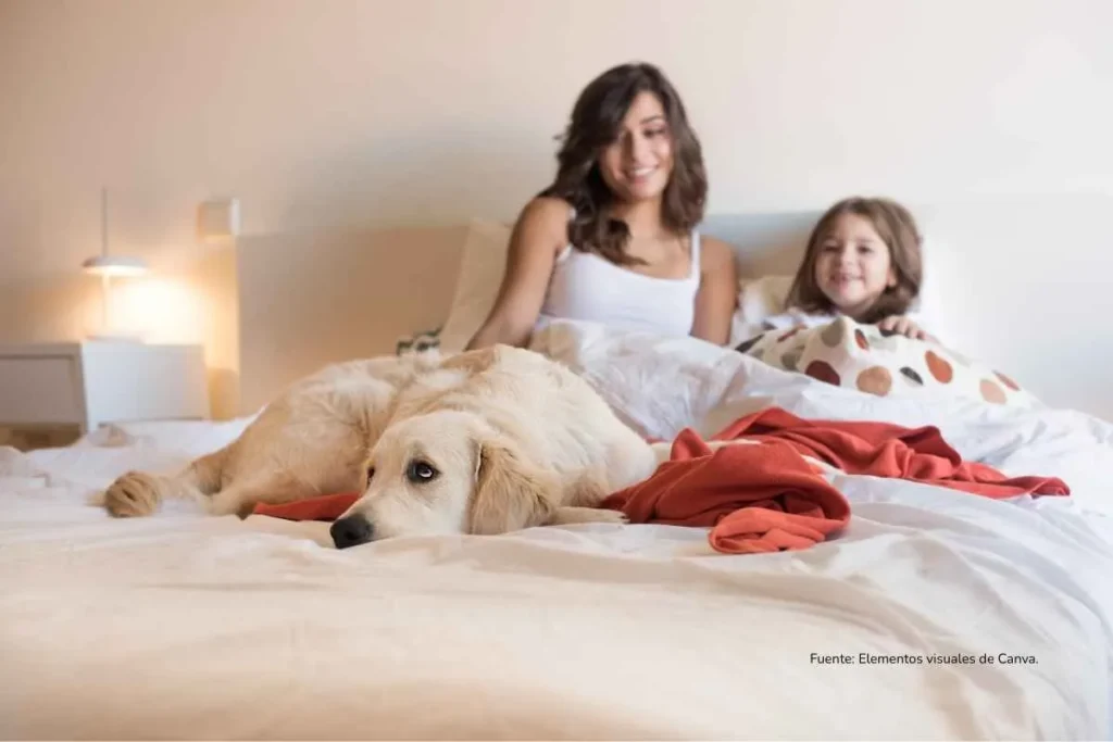mujer y niña en una cama con un perro labrador encima de ella