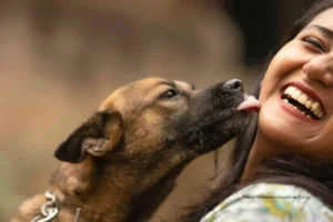 comportamiento canino